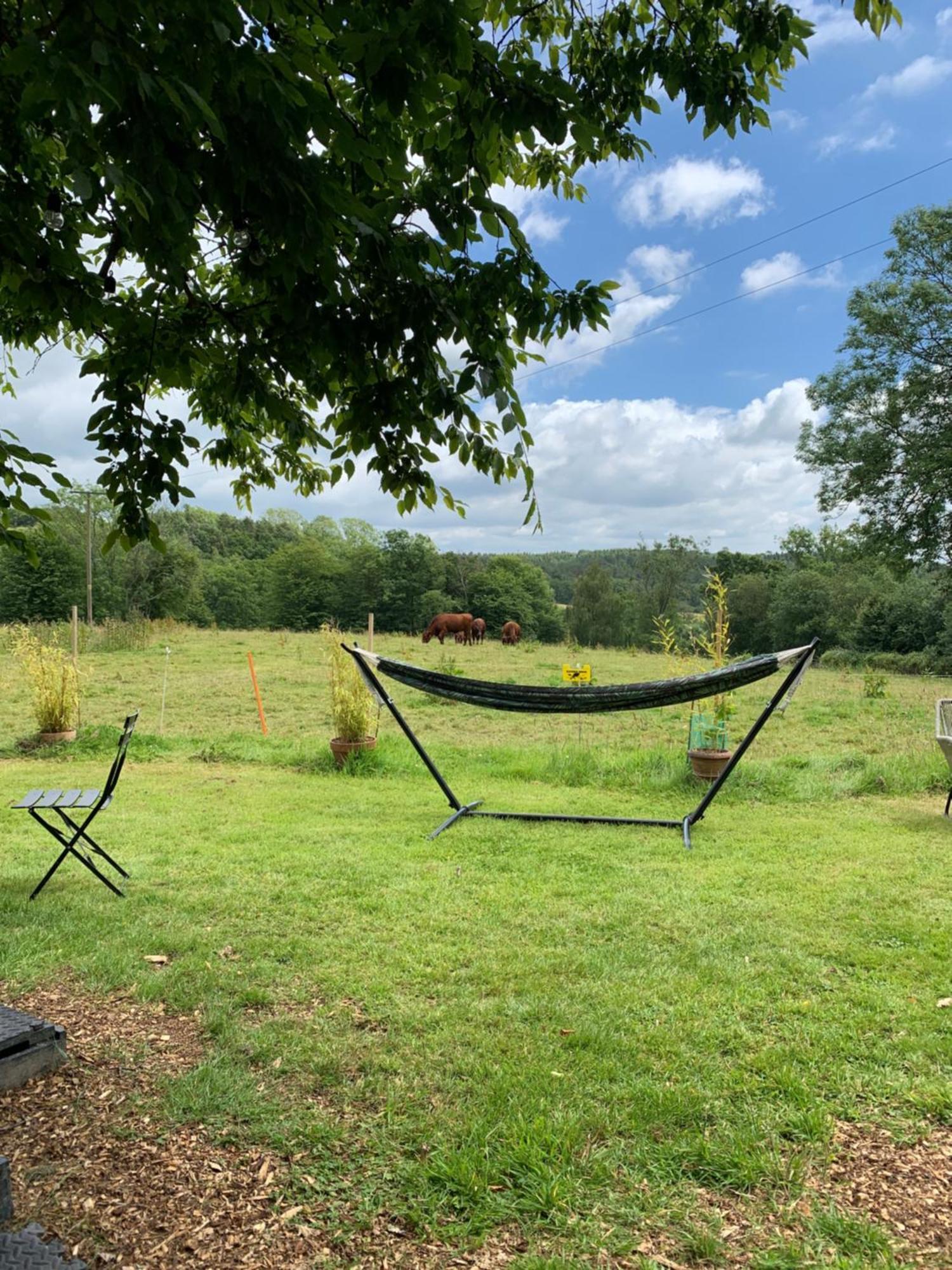 American School Bus Retreat With Hot Tub In Sussex Meadow Укфилд Экстерьер фото